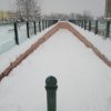 la grande nevicata del febbraio 2012 040